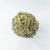 Cactus (cerebro) - comprar online
