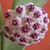 Crasa (hoya kerry) en internet