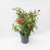 Rosa rococó - comprar online