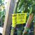 Pomelo blanco - Green Online
