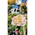 Rosa trepadora - Green Online