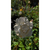Rosa topiario - tienda online