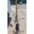 Acacia baileyana rubra - Green Online