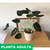 Alocasia black - tienda online