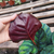 Calathea fasciata - Green Online