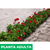 Geranio - tienda online