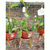 Nepenthes en internet