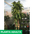 Palito de agua - Green Online