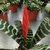 Vriesea splenriet - comprar online