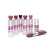 BATOM MATTE 12 CORES - POP LIPS VIVAI - comprar online