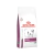 RAÇÃO ROYAL CANIN CANINE RENAL SMALL 2kg