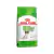 RAÇÃO ROYAL CANIN CANINE X-SMALL ADULT 8+ 1KG