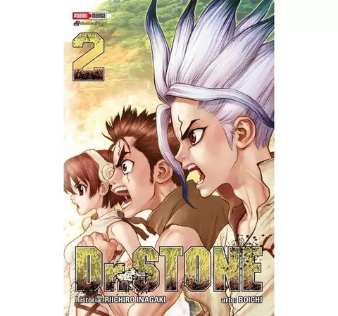 PANINI DR STONE 02