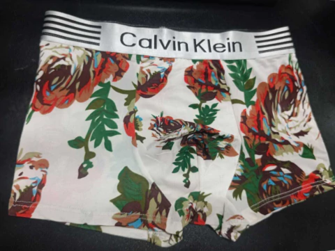 10-012 - Cueca CK - Rosas El. Cinza - comprar online
