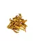 Buchinho Crocante - Rúmen Bovino 60g - Alecrim Pet - For Pets
