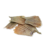 Rabinho de Peixe Barbatana de Tilapia - Pet Bem - comprar online