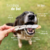Tirinhas de Boi 100g - Pet Bem - comprar online