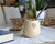 Mate Spring en internet