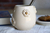Mate Spring - comprar online