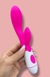 Vibrador de Ponto G e Clitóris Brid - comprar online