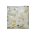 MANTEL ANTIMANCHAS NATURAL PASTEL 200*160 (ECO0088T)