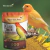 Kit 2un Canario Do Reino Gold Mix 500g - Reino Das Aves - loja online