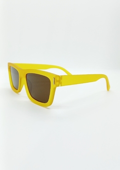 Newton - Voltaire Gafas