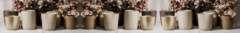 Banner da categoria Vasos