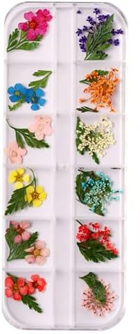 NATURALEZA MUERTA X12 PEQUEÑA - comprar online