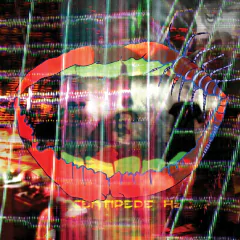 ANIMAL COLLECTIVE - Centipede Hz Vinilo 2LP