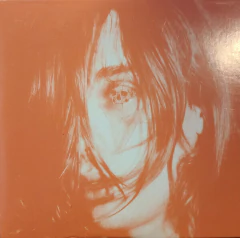 DEERHUNTER - Microcastle / Weird Era Cont. Vinilo LP