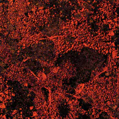 KING GIZZARD AND THE LIZARD WIZARD - Murder Of The Universe Live At The Red Rocks 2022 Vinilo White Sparkle Vinyl + exclusive Jigsaw Puzzle