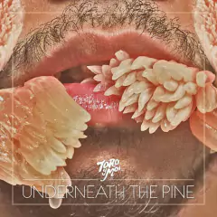 TORO Y MOI - Underneath The Pine Vinilo LP
