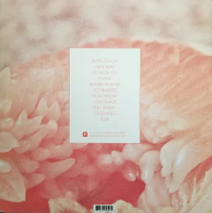 TORO Y MOI - Underneath The Pine Vinilo LP - comprar online