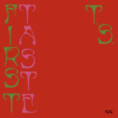 TY SEGALL - First Taste Vinilo LP
