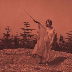 UNKNOWN MORTAL ORCHESTRA - II Vinilo LP