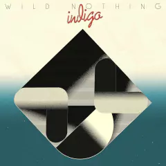 WILD NOTHING - Indigo Vinilo LP