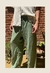 PANTALON - VAPOR CLASICO - VERDE MUSGO - tienda online