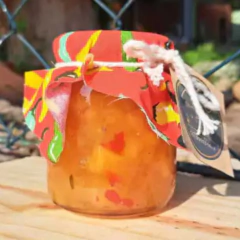 Geleia de Abacaxi com Pimenta Kairós - 240g - comprar online