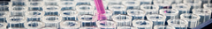Banner de la categoría Medios de cultivo