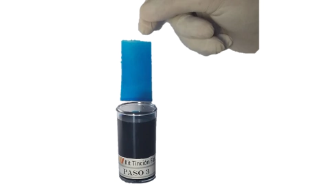 CUBETAS ACRILICAS PARA TINCIONES INDIVIDUALES EN MICROSCOPIA - PACK X3