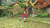 Ni No Kuni: Wrath Of The White Witch Nintendo Switch - Standard Edition [video game] - tienda en línea