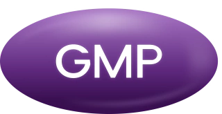 GMP Fitness
