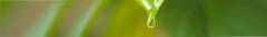 Banner da categoria TINTURAS/ EXTRATOS/ SEIVAS