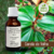 Tintura de CANELA DE VELHO - 30ml
