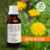 Tintura de DENTE DE LEÃO - 30ml