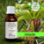 Tintura de EMBAÚBA - 30ml