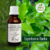 Tintura de ESPINHEIRA SANTA - 30ml