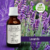Tintura de LAVANDA - 30ml