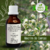 Tintura de ALECRIM DO CAMPO - 30ml
